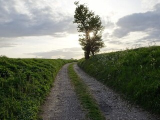 Casa per le vacanze Odder  22