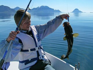 Vakantiehuis Inndyr  26