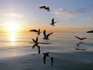 Casa per le vacanze Inndyr  27