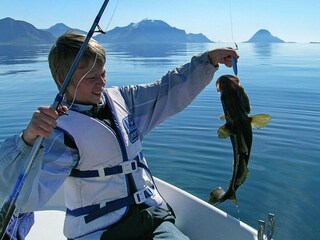 Vakantiehuis Inndyr  32