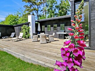 Ferienhaus Tisvildeleje Außenaufnahme 3