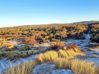 Casa per le vacanze Tisvildeleje Registrazione all'aperto 1