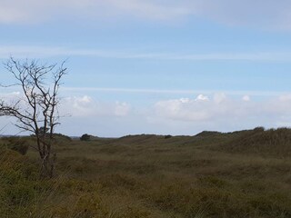Holiday house Bratten Strand  15