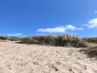 Vakantiehuis Als  16