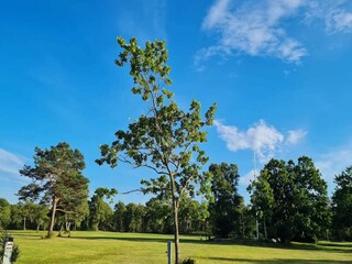 Casa per le vacanze Als  19