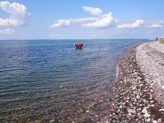 Casa per le vacanze Ydø  17