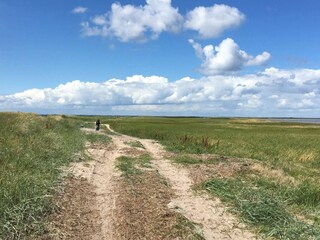 Casa per le vacanze Ydø  13
