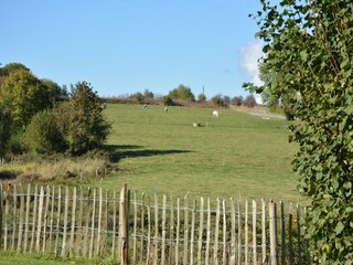 Casa de vacaciones Gedinne Grabación al aire libre 4