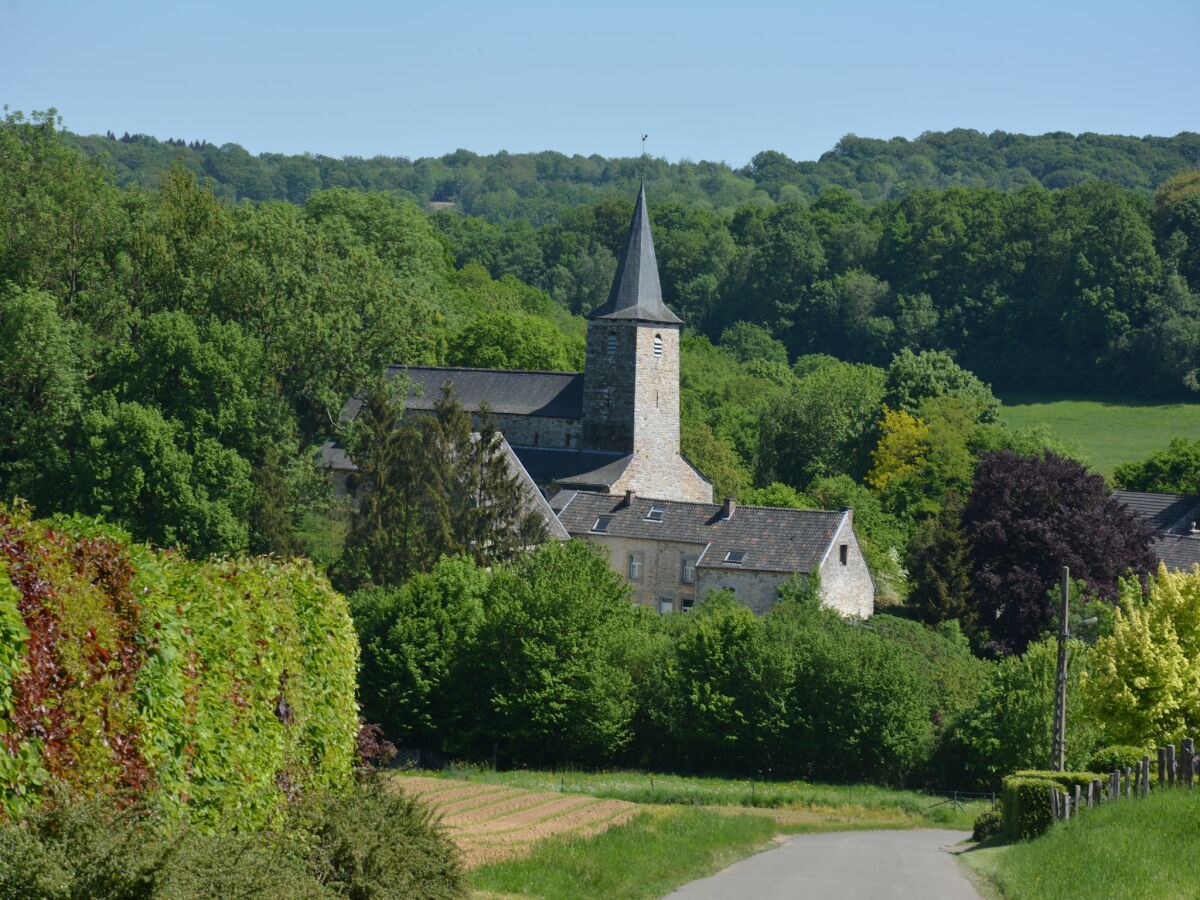 Ferienhaus Gedinne Umgebung 27