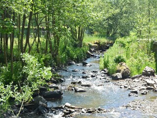 Casa de vacaciones Gedinne Entorno 32