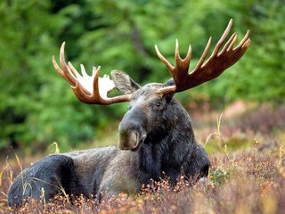 Maison de vacances Bullaren  13