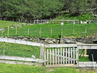 Apartment Tysnes  33