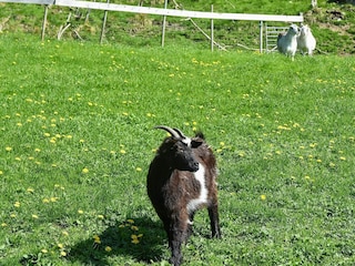 Apartment Tysnes  20