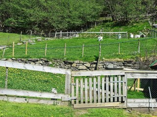 Apartamento Tysnes  28