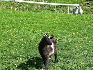 Apartamento Tysnes  29