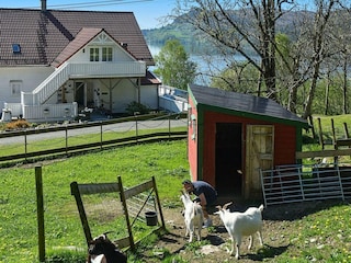 Apartment Tysnes  11