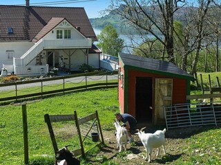 Apartamento Tysnes  13