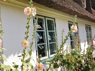 Vakantiehuis Sydals Buitenaudio-opname 3