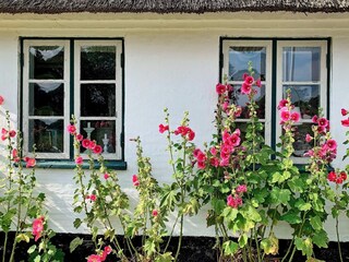 Vakantiehuis Sydals Buitenaudio-opname 6