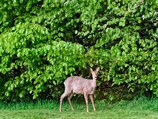 Casa per le vacanze Sydals Registrazione all'aperto 1