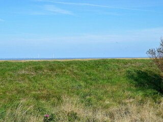 Casa per le vacanze Sønderho Sogn Registrazione all'aperto 4