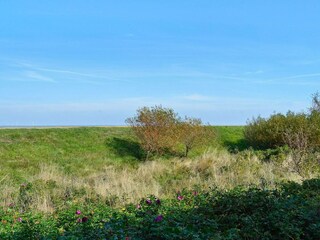 Casa per le vacanze Sønderho Sogn Registrazione all'aperto 5