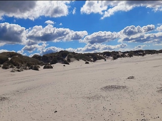 Maison de vacances Blåvand  5