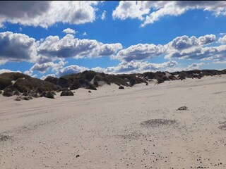 Vakantiehuis Blåvand  5