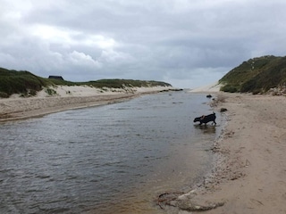 Maison de vacances Blåvand  42