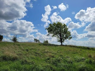 Holiday house Ølsted  27