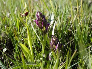 Casa de vacaciones Kalmar  29