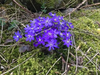 Ferienhaus Kalmar  20