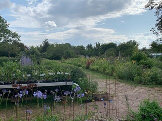 Ferienhaus Kalmar  31