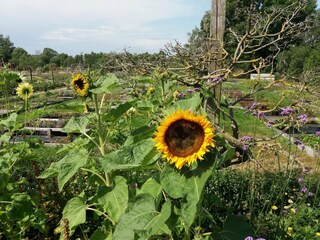 Vakantiehuis Kalmar  15