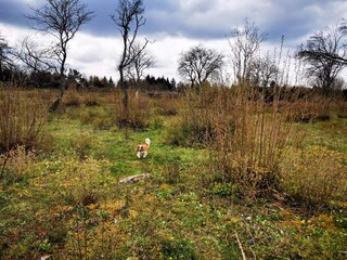 Maison de vacances Kalmar  10