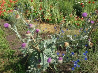 Vakantiehuis Kalmar  21