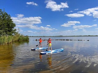 Maison de vacances Biddinghuizen Environnement 26
