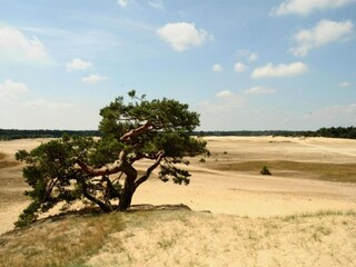 Vakantiehuis Biddinghuizen Omgeving 23