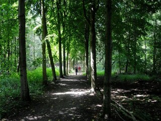 Maison de vacances Biddinghuizen Environnement 33