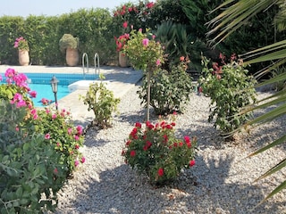 Villa Kirianna Outdoor Recording 8