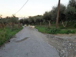 Villa Kirianna Entorno 32