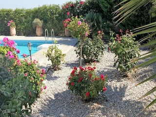 Villa Kirianna Buitenaudio-opname 2