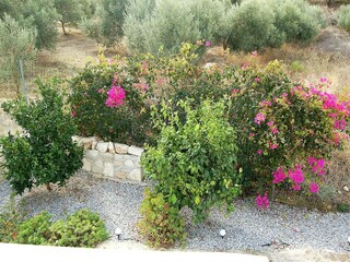 Villa Kirianna Outdoor Recording 20