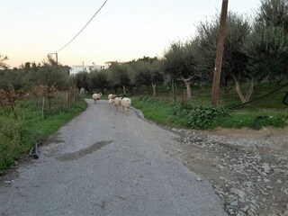 Villa Kirianna Environnement 30