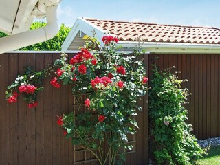Holiday house Bagenkop Outdoor Recording 13