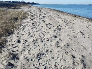 Ferienhaus Lohals Außenaufnahme 1