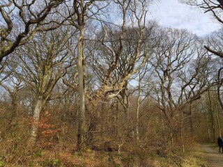 Holiday house Lohals  35