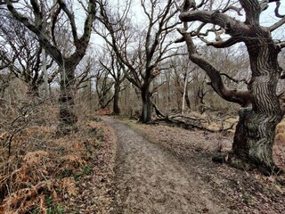 Casa per le vacanze Lohals  36