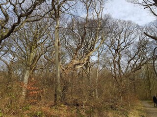 Holiday house Lohals  37