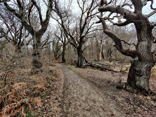 Casa de vacaciones Lohals  29